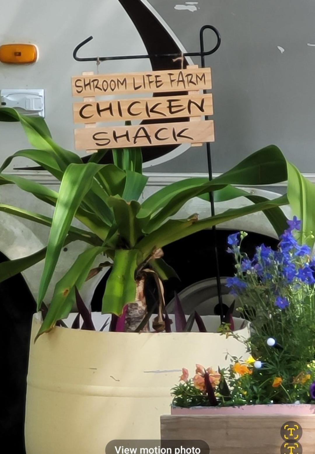 Shroom Life Farm Chicken Shack North Fort Myers Exterior photo